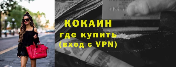 мдпв Гусь-Хрустальный