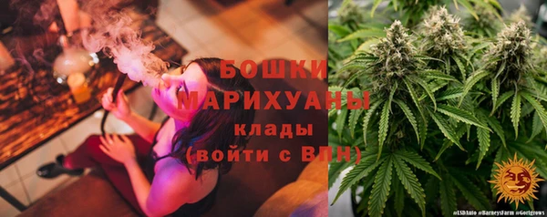 гидропоника Гусев