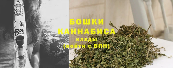 мдпв Гусь-Хрустальный