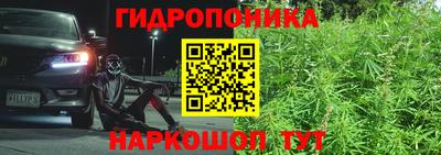 дживик Новокубанск