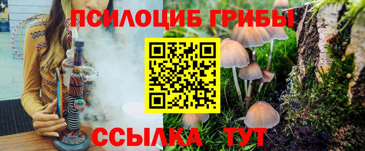 Галлюциногенные грибы Magic Shrooms  как найти   Заринск  Вход с VPN 
